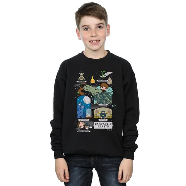 Fantastic Beasts Boys Chibi Newt Sweatshirt