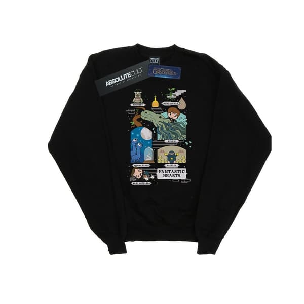 Fantastic Beasts Boys Chibi Newt Sweatshirt