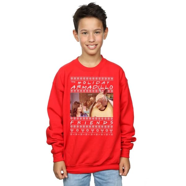 Friends Boys Fair Isle Holiday Armadillo Sweatshirt