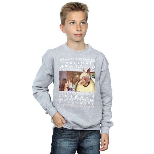 Friends Boys Fair Isle Holiday Armadillo Sweatshirt