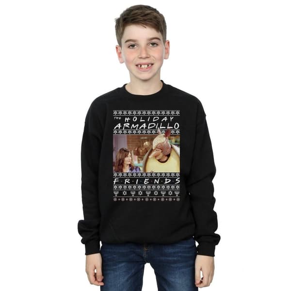 Friends Boys Fair Isle Holiday Armadillo Sweatshirt