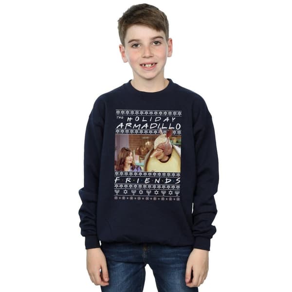 Friends Boys Fair Isle Holiday Armadillo Sweatshirt