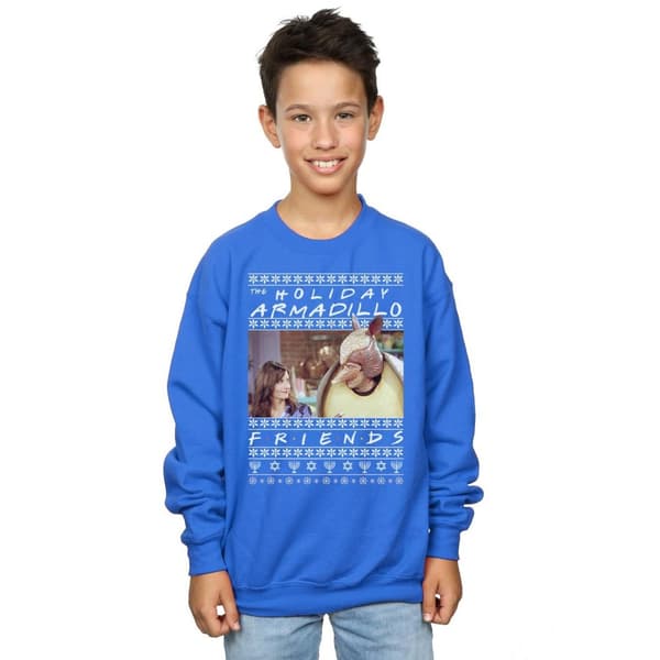 Friends Boys Fair Isle Holiday Armadillo Sweatshirt