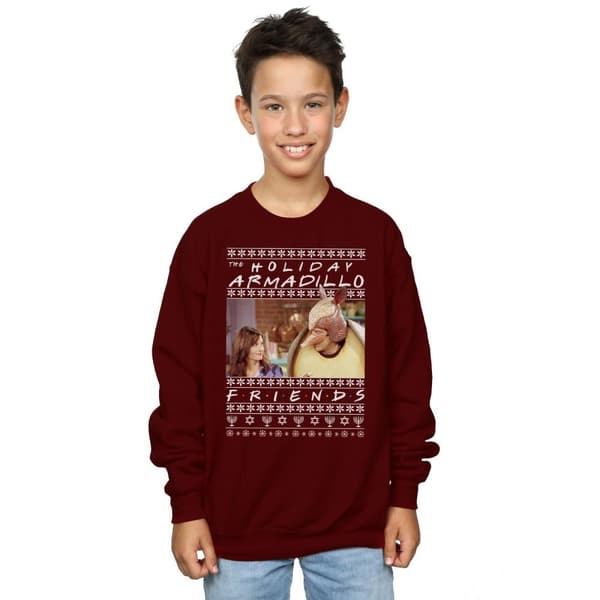 Friends Boys Fair Isle Holiday Armadillo Sweatshirt