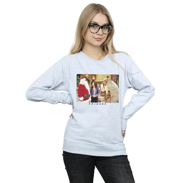 Friends Womens/Ladies Christmas Armadillo Sweatshirt