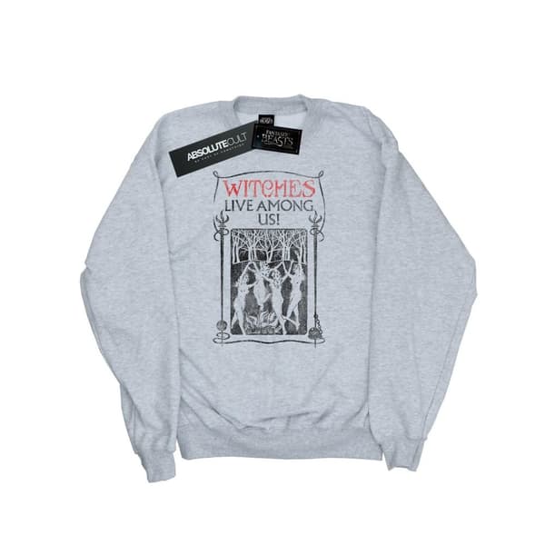 Fantastic Beasts Sweatshirt - Kvinnor/Damer Witches Live Among Us Heather Grey S