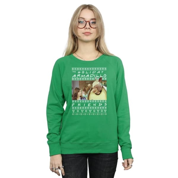 Friends Womens/Ladies Fair Isle Holiday Armadillo Sweatshirt