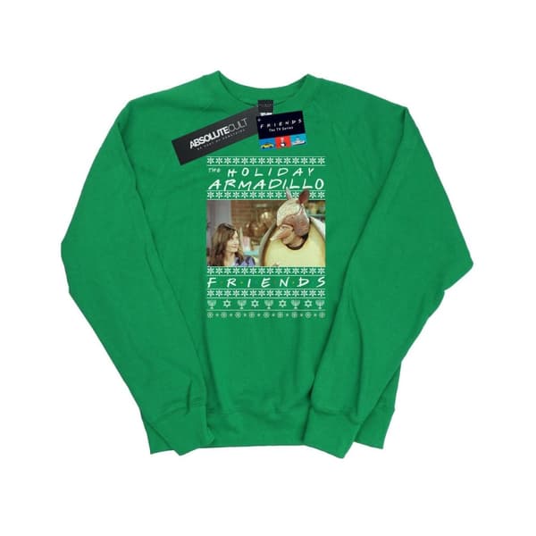 Friends Womens/Ladies Fair Isle Holiday Armadillo Sweatshirt