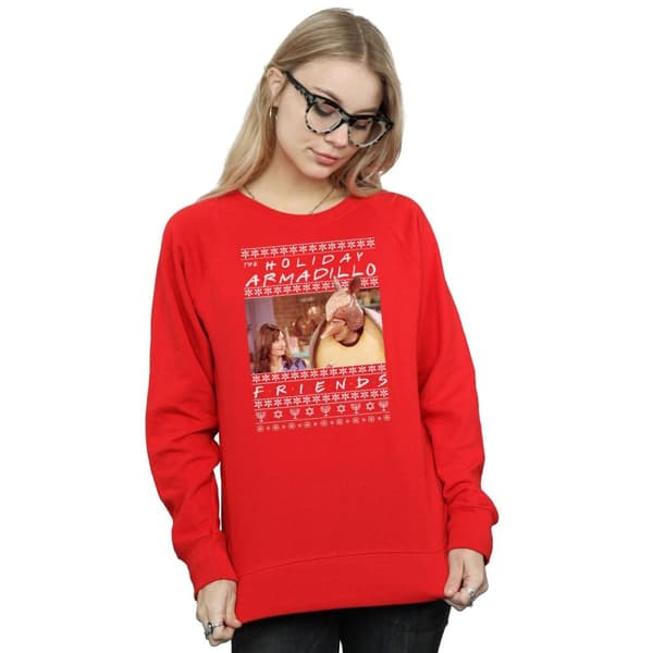 Friends Womens/Ladies Fair Isle Holiday Armadillo Sweatshirt