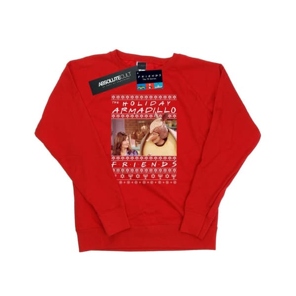 Friends Womens/Ladies Fair Isle Holiday Armadillo Sweatshirt