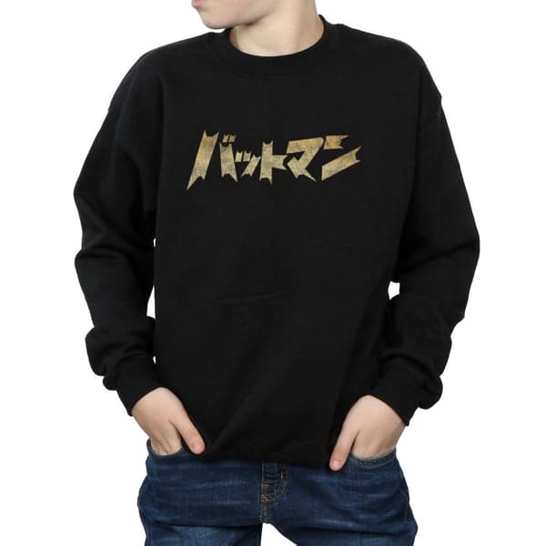 DC Comics Pojkar Batman International Logo Sweatshirt