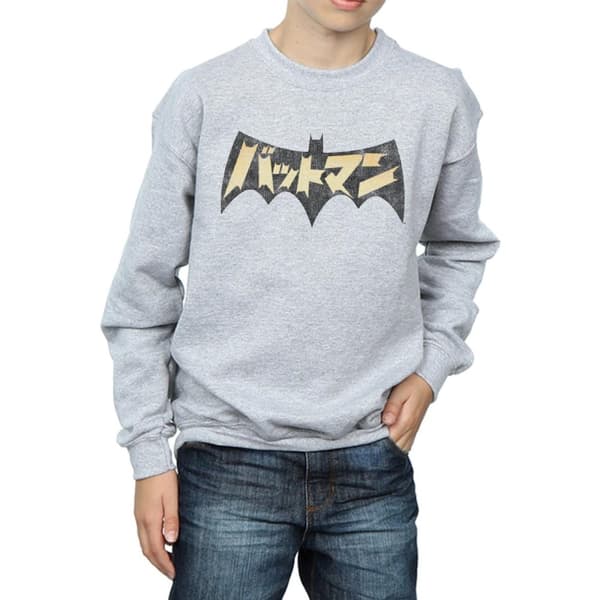 DC Comics Pojkar Batman International Logo Sweatshirt
