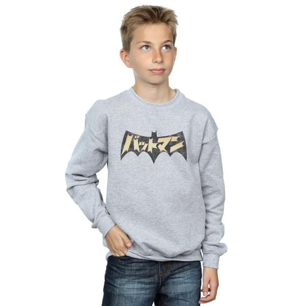 DC Comics Pojkar Batman International Logo Sweatshirt