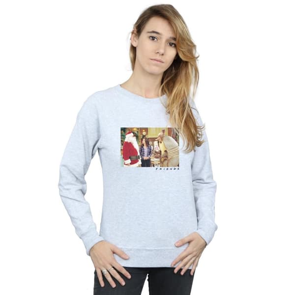 Friends Womens/Ladies The Holiday Armadillo Sweatshirt