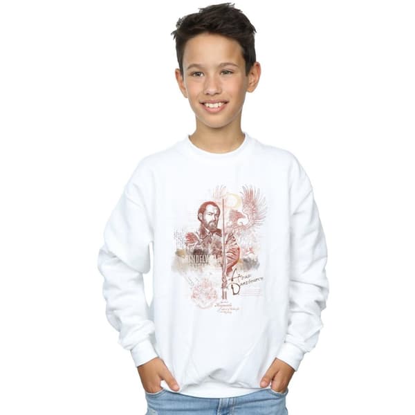 Fantastic Beasts Boys Albus Dumbledore Sweatshirt
