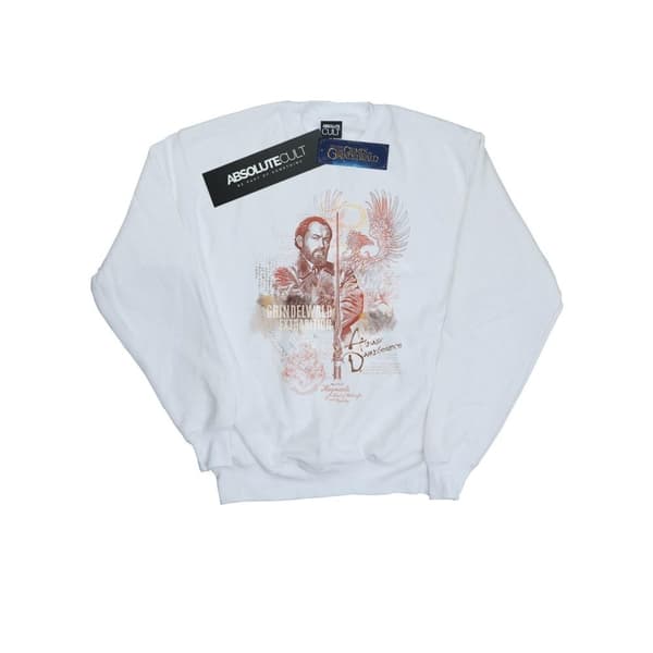 Fantastic Beasts Boys Albus Dumbledore Sweatshirt