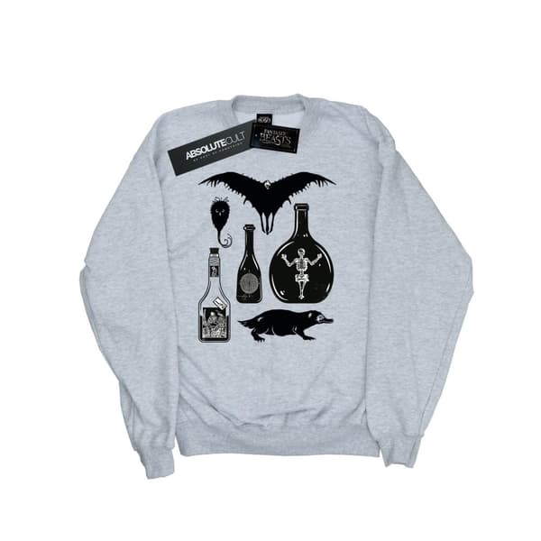 Fantastic Beasts Womens/Ladies Plain Icons Sweatshirt