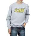 Pikkukuva 3 / 5: DC Comics Boys Flash Crackle Logo Sweatshirt