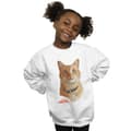 Miniatyrbillede 2 af 3: Marvel Girls Captain Marvel Goose Photo Sweatshirt