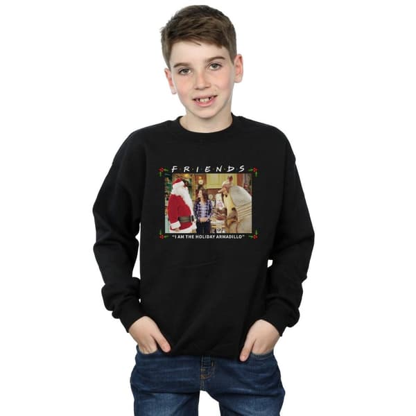Friends Boys I Am The Holiday Armadillo Sweatshirt