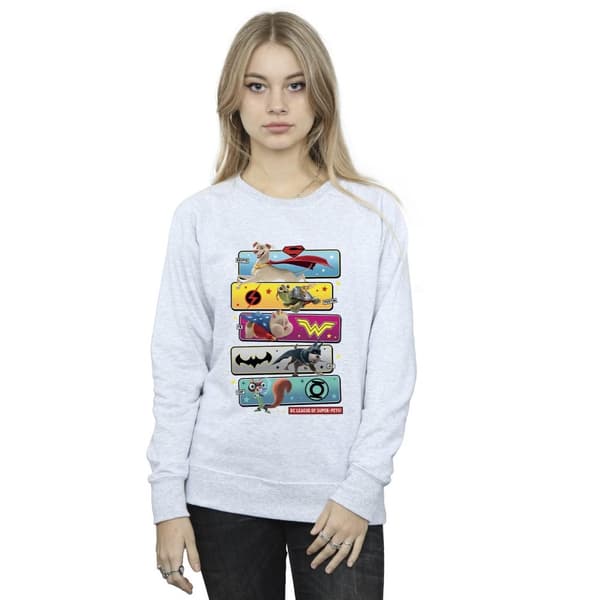 DC Comics Womens/Ladies DC League Of Super-Pets Character Pose Sweatshirt