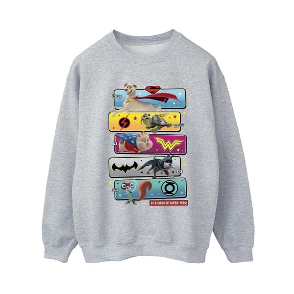DC Comics Womens/Ladies DC League Of Super-Pets Character Pose Sweatshirt