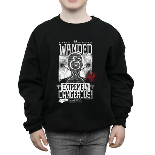 Fantastic Beasts Boys Wanded And Extremely Dangerous Sweatshirt