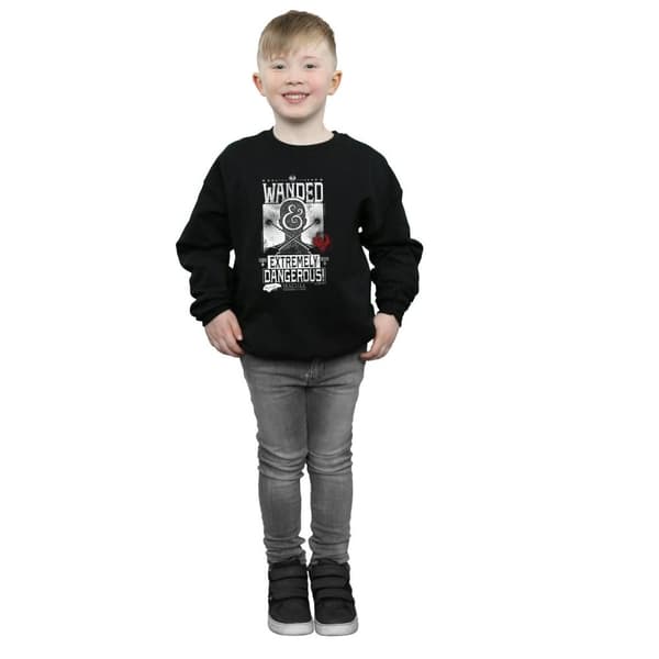 Fantastic Beasts Boys Wanded And Extremely Dangerous Sweatshirt