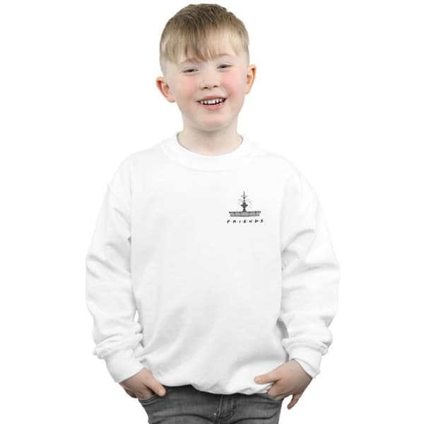Friends Boys Fountain Breast Print Sweatshirt