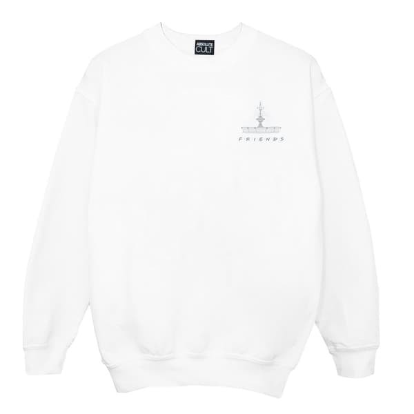 Friends Boys Fountain Breast Print Sweatshirt