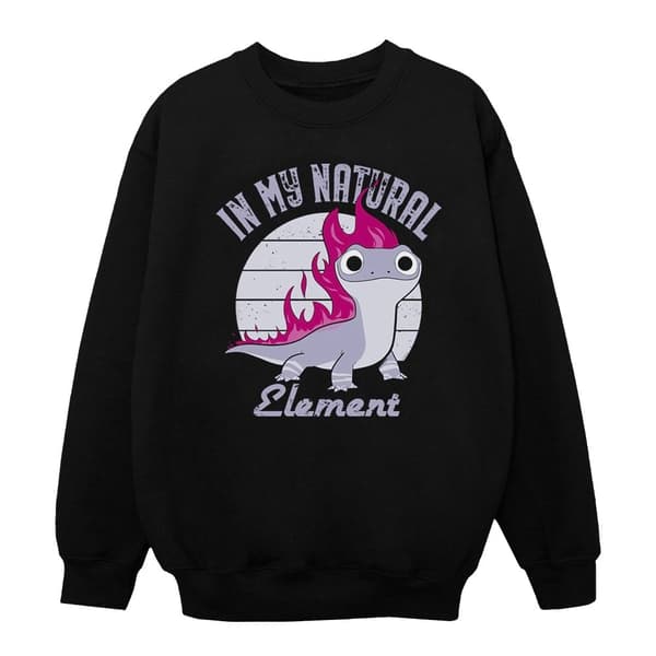 Disney Boys Frozen 2 Salamander Bruni Element Sweatshirt