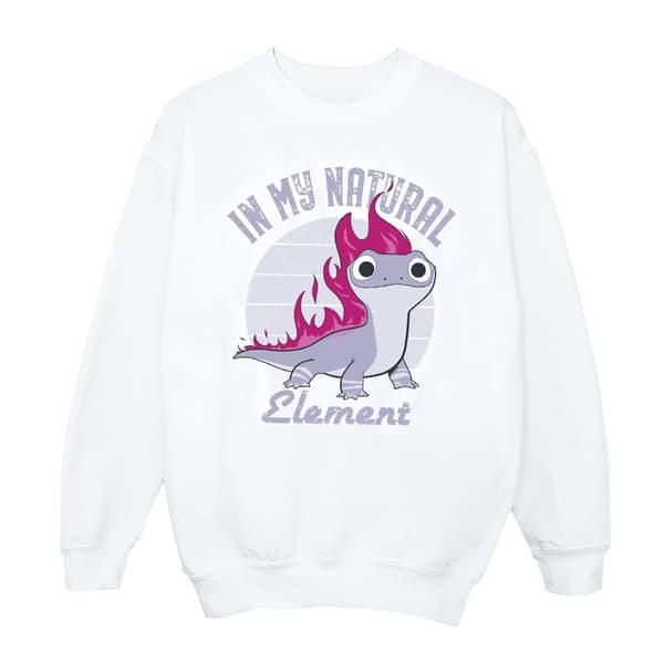 Disney Pojkar Frozen 2 Salamander Bruni Element Sweatshirt
