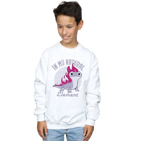 Disney Pojkar Frozen 2 Salamander Bruni Element Sweatshirt