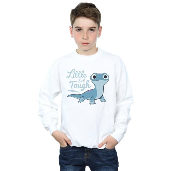 Disney Pojkar Frozen 2 Salamander Bruni Tough Sweatshirt