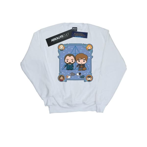 Fantastic Beasts Boys Chibi Newt And Dumbledore Sweatshirt