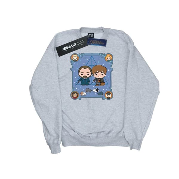 Fantastic Beasts Boys Chibi Newt And Dumbledore Sweatshirt