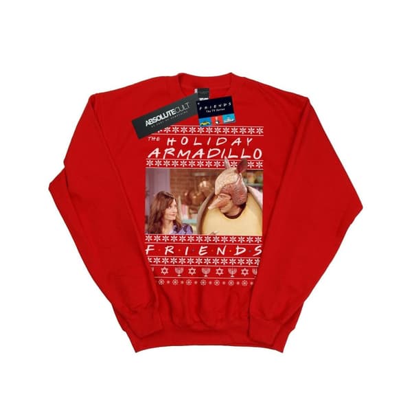 Friends Girls Fair Isle Holiday Armadillo Sweatshirt