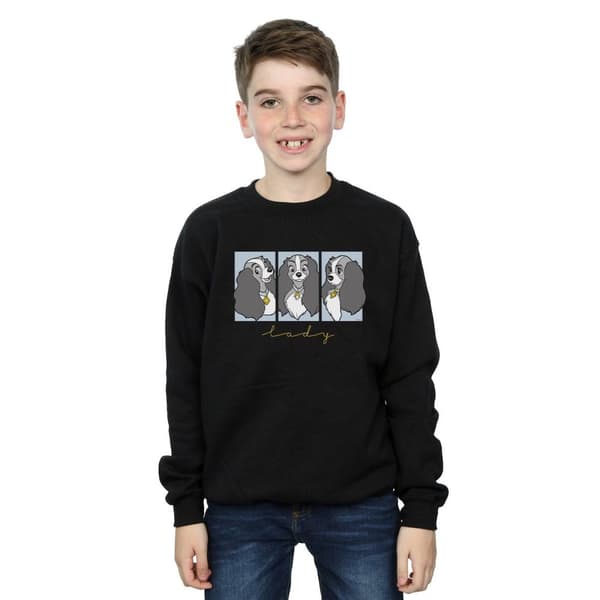 Disney Boys Lady And The Tramp Lady Frames - Sweatshirt