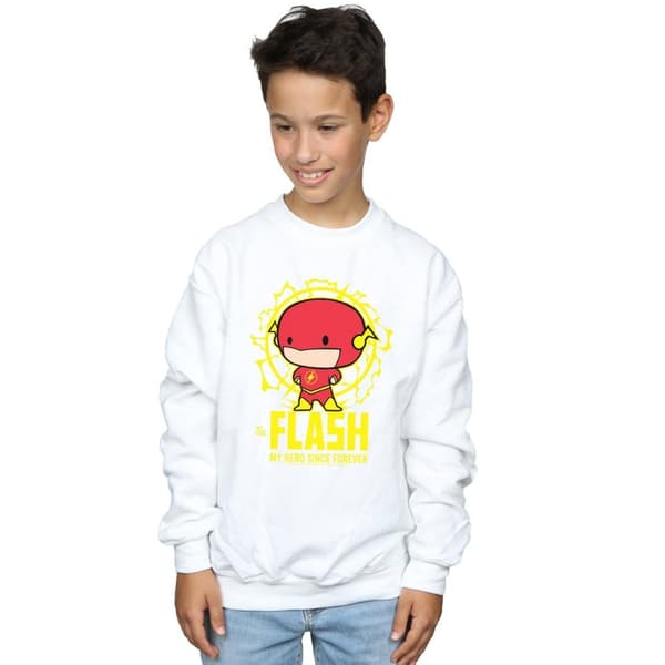 DC Comics Boys Flash My Hero Since Forever Sweatshirt