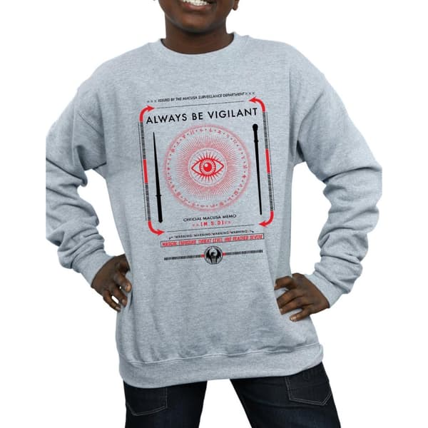 Fantastic Beasts Boys Always Be Vigilant Sweatshirt