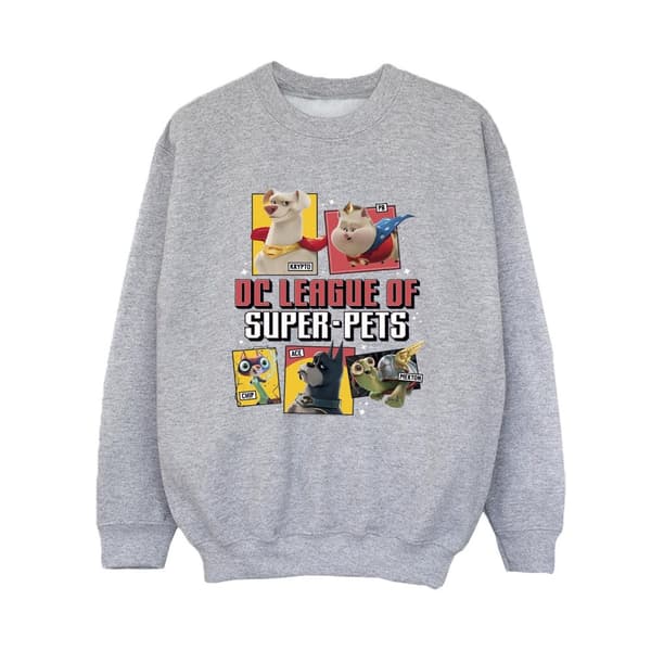 DC Comics Profiltröja för pojkar - DC League of Super-Pets