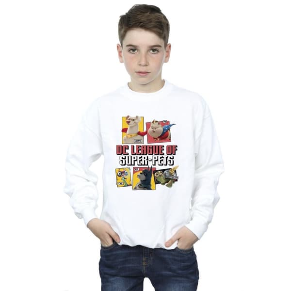 DC Comics Boys DC League Of Super-Pets Profile Sweatshirt