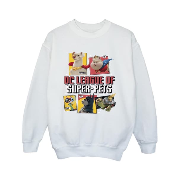 DC Comics Boys DC League Of Super-Pets Profile Sweatshirt