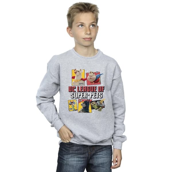 DC Comics Profiltröja för pojkar - DC League of Super-Pets