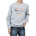 Miniatyrbillede 3 af 5: DC Comics Boys Superman Floral Logo 2 Sweatshirt