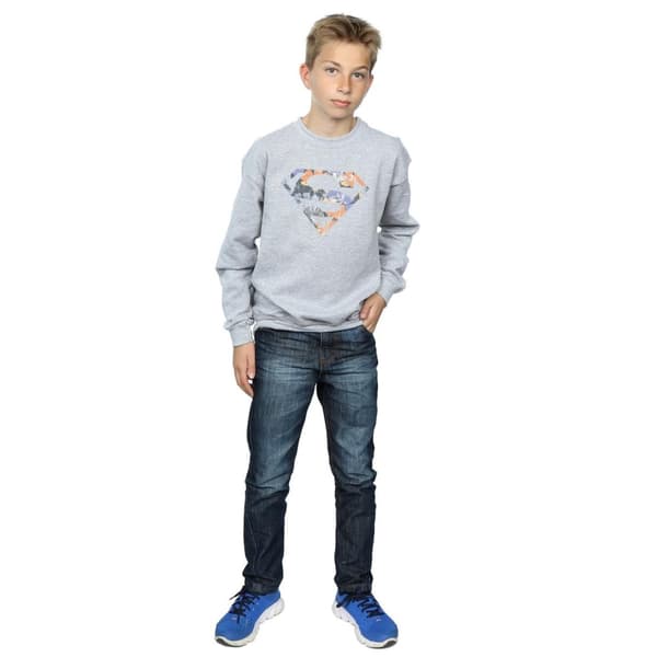 DC Comics Boys Superman Floral Logo 2 Sweatshirt