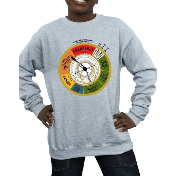 Fantastic Beasts Sweatshirt med hotnivå för pojkar