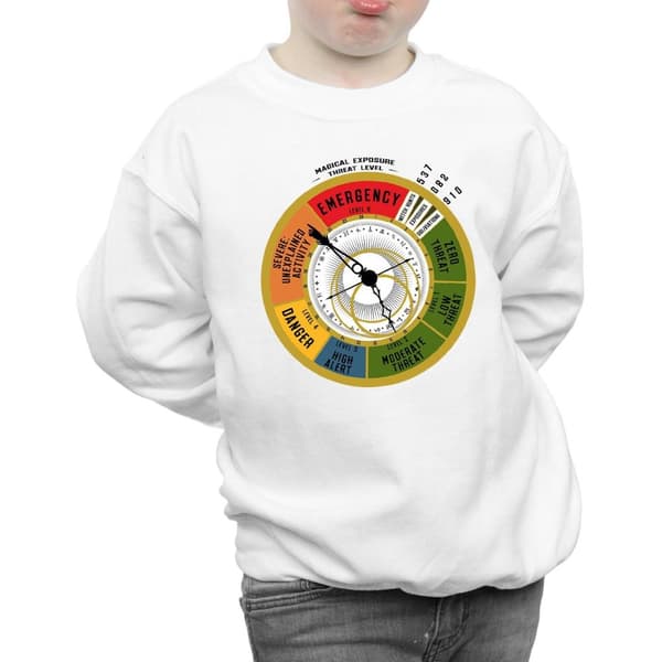 Fantastic Beasts Sweatshirt med hotnivå för pojkar