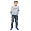 Pikkukuva 4 / 5: The Flintstones Boys Family Car Distressed Sweatshirt