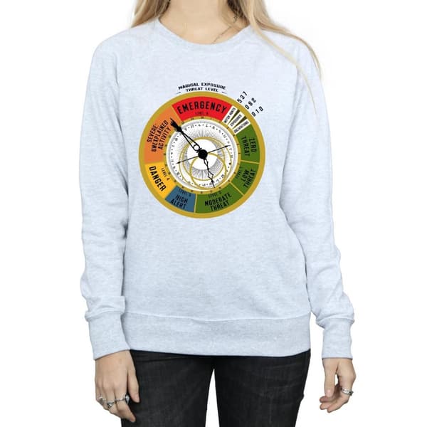 Fantastic Beasts Sweatshirt - hotnivå - dam/dam